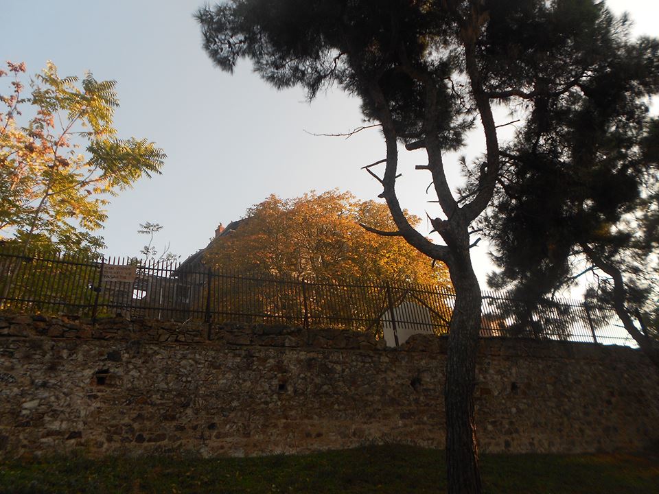 Büyükada'daki Rum Yetimhanesi